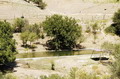 Hotels in Samarkand