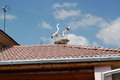 Hotels in Samarkand