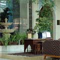 Markasiy Hotel. The best Tashkent hotels
