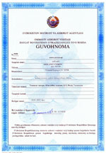 License 