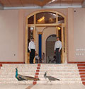 Zafar. Restaurants in Samarkand