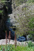 Adventure tours