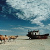 Adventure Tours to Uzbekistan