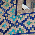 Bukhara architecture � &Acy;&rcy;&khcy;&icy;&tcy;&iecy;&kcy;&tcy;&ucy;&rcy;&acy; &Bcy;&ucy;&khcy;&acy;&rcy;&ycy;
