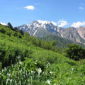 Hiking to the mountain Patandazboshi