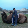 Photo from Aydar Yurt Camp