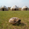 Photo from Aydar Yurt Camp