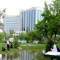Фотографии Японского сада. Ташкентские парки