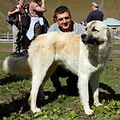 OrexCA.com discoveries of Georgia country OrexCA.com discoveries of Georgia country