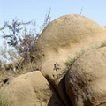 Georgia nature Georgia nature