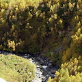 Georgia nature Georgia nature