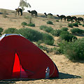 Visit nomadic villages