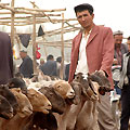 Kashgar market