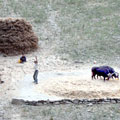 The life of Afghan Pamiris — The life of Afghan Pamiris —