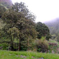 Landscape in Urukli — Landscape in Urukli —