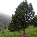 Landscape in Urukli — Landscape in Urukli —