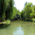 Sacred Oasis —
Sacred Oasis —
