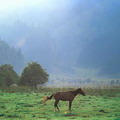 Tajikistan nature