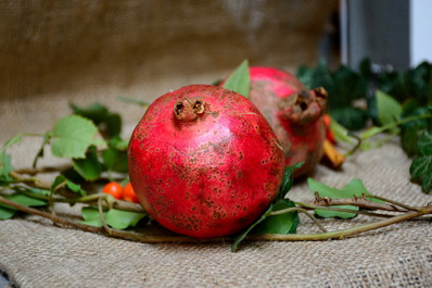 Nar Bayrami, Pomegranate Festivity