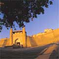 Pictures of Bukhara. High quality Bukhara Picture here! Bukhara photos