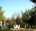 Фотографии кладбищ Ташкента
