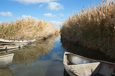 Lake Sudochie