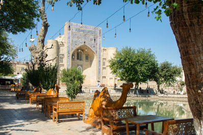 Lyabi-Khauz Ensemble, Bukhara, Uzbekistan