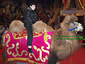 Ташкентский городской цирк