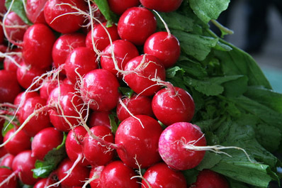 Uzbek Vegetables