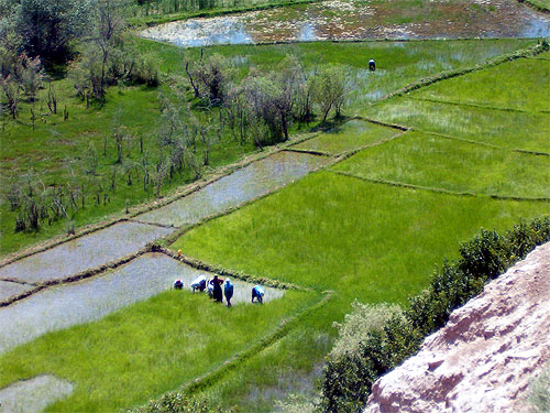 Picture of Syr Darya River in Fergana Valley