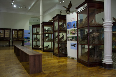 State Museum of Adjara, Batumi