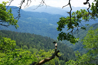The Borjomi-Kharagauli National Park, Borjomi