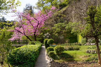 National Botanical Garden of Georgia, Tbilisi