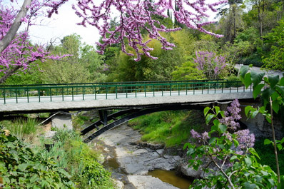 National Botanical Garden of Georgia, Tbilisi