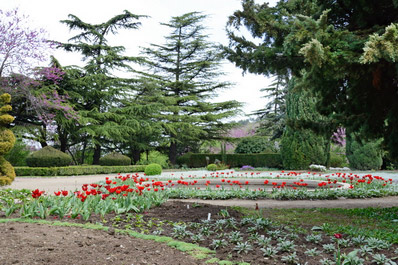 National Botanical Garden of Georgia, Tbilisi