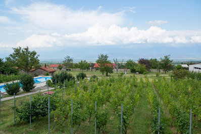 Chateau Schuchmann, Telavi