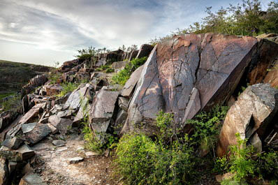 Tamgaly Petroglyphs