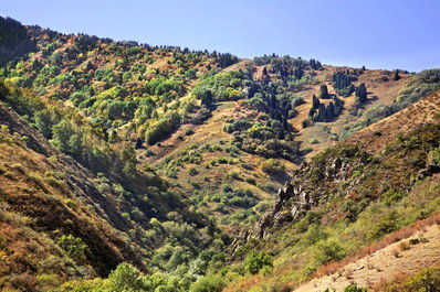 Turgen Gorge