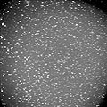 Поле зрения AlfaORI с матрицей FLI IMG1001E составляет 160'x160', проницание выросло как минимум на 0,5 звездной величины