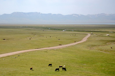 Сон-куль