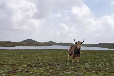 Tulpar-Kul Lake