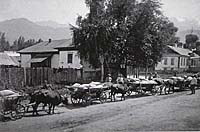 History of Almaty . Pictures of Almaty