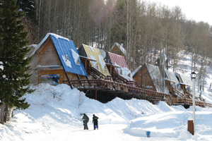 Алтайские Альпы