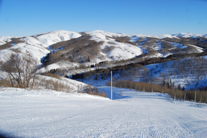 Алтайские Альпы