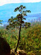 Kарагандинская область. Фотографии областей Казахстана