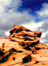 Altyn-Emel State National Park. Kazakhstan nature