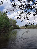 Amudarya State Reserve of Turkmenistan