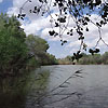 Amudarya State Reserve