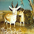A Treasure House of regional history, Nukus A Treasure House of regional history, Nukus