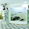 Государственный музей природы Узбекистана. Музеи Ташкента